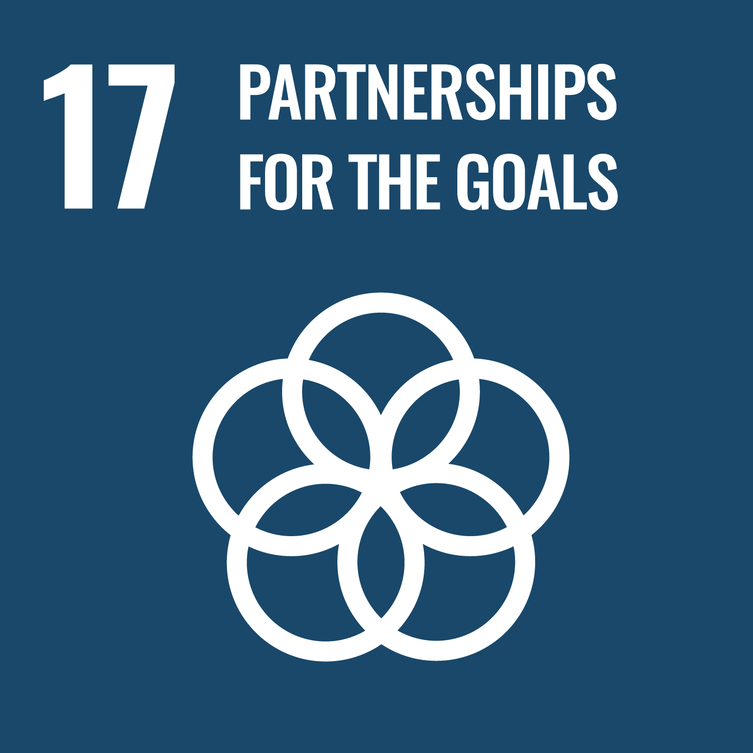 Sustainable Development Goals (SDG17) Partnerships